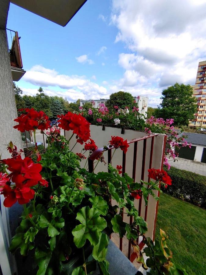 Loft House Sopot Apartament公寓 外观 照片
